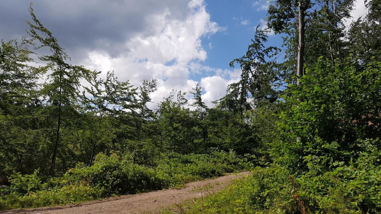 Schoener Weitblick Бад Захса Екстериор снимка